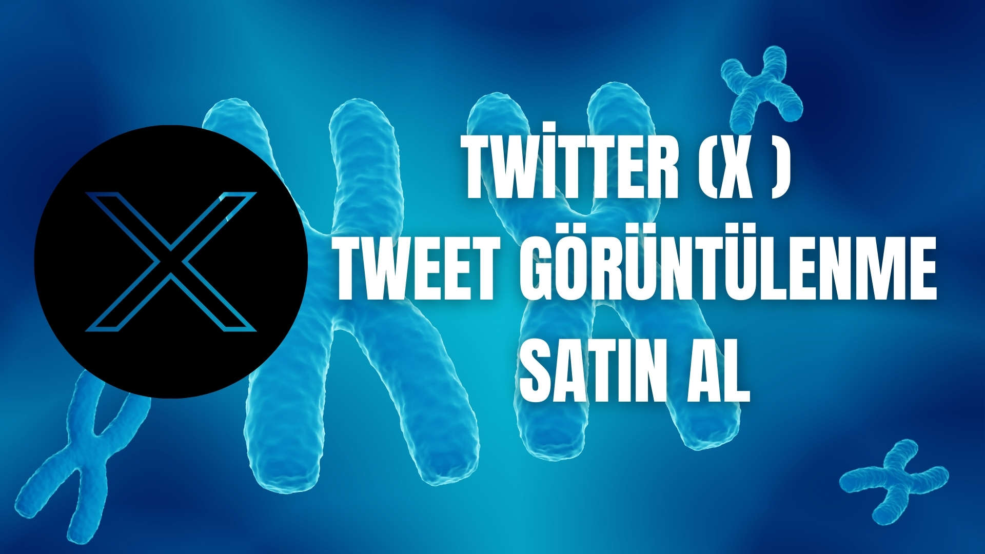 Twitter Görüntülenme Sayısı Nasıl Artırılır? Keşfete Düşüren X Etkileşim Taktikleri